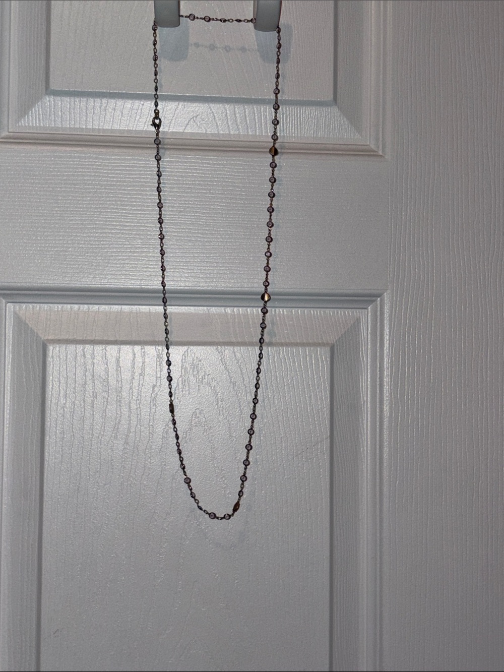 Anthropologie Long Delicate Beaded Chain Necklace in Bronze/Amethyst